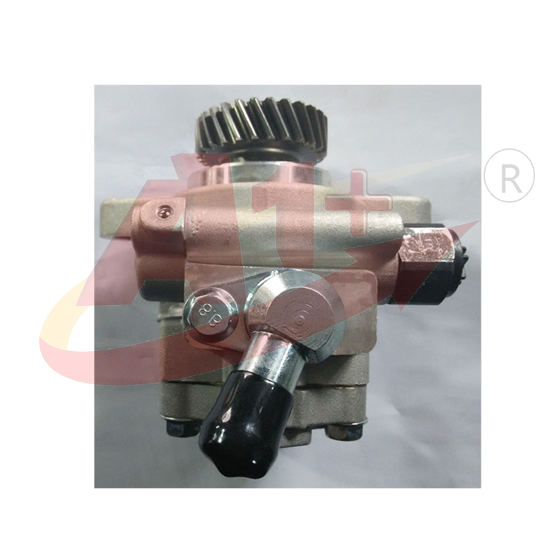 Power steering oil pump,